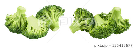 fresh broccoli isolated on white background close-up with full depth of field. 135415677