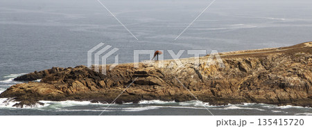 Small sculpture on a peninsula by Hercules Tower in La Coruna, Spain Small sculpture on a peninsula by Hercules Tower in La Coruna, Spain 135415720
