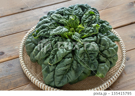 ちぢみほうれん草　寒締めホウレンソウ 135415795