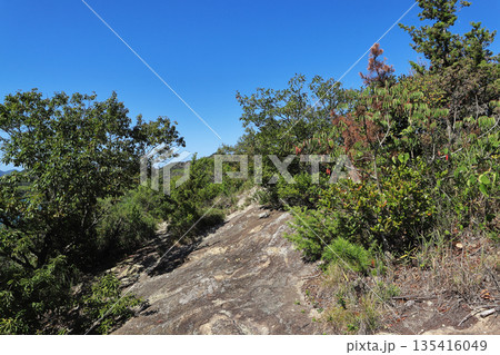升田山ハイキング（兵庫県） 135416049