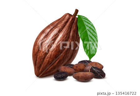 カカオ カカオニブ イラスト リアル カカオ カカオニブ イラスト リアル 135416722