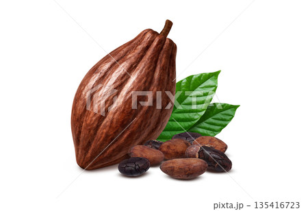 カカオ カカオニブ イラスト リアル 135416723