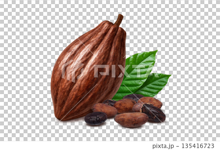 カカオ カカオニブ イラスト リアル 135416723