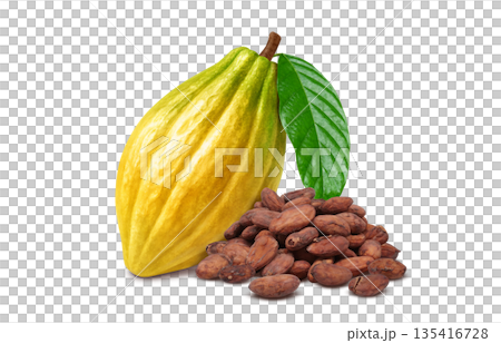 可可豆可可碎粒插圖寫實 135416728