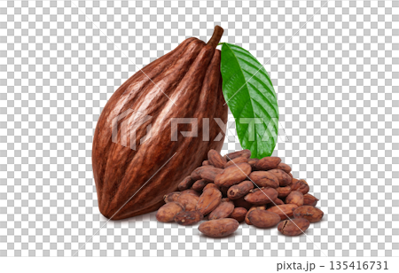 可可豆可可碎粒插圖寫實 135416731