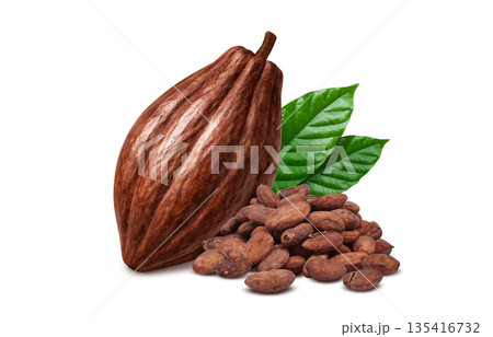 カカオ カカオニブ イラスト リアル 135416732