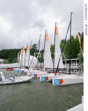 Row of white sailboats with numbers docked on water by pier. Recreational boating for summer vacation and water sport activity. Row of white sailboats with numbers docked on water by pier. Recreational boating for summer vacation and water sport activity. 135416870