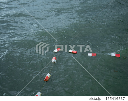 Red and white buoy line floating on green water. Water safety and boundary marker for marine navigation, warning people. 135416887