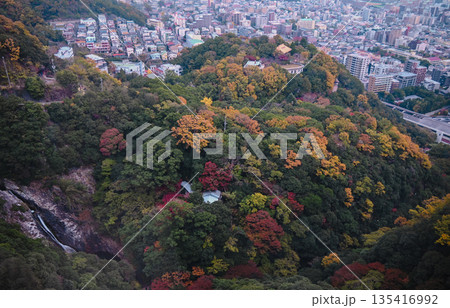 布引ハーブ園ロープウェイ車窓から 紅葉と神戸の街並み 135416992