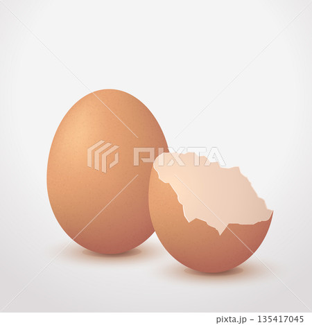 Broken Eggshell Vector With Whole And Cracked 135417045