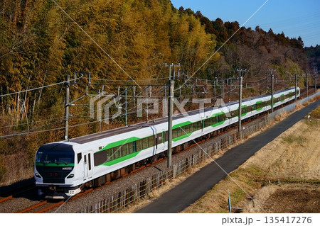 開運成田山初詣列車に使用されたE257系5000番台 開運成田山初詣列車に使用されたE257系5000番台 135417276