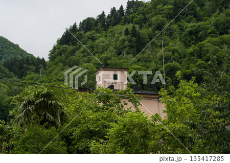 a house in a dense forest, in the mountains of Georgia. Cloudy sky a house in a dense forest, in the mountains of Georgia. Cloudy sky 135417285
