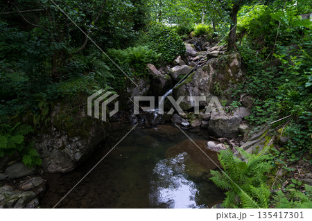 Mountain stream in the forest between large rocks. Georgia 135417301