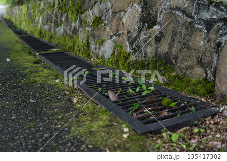 The drain is overgrown with moss The drain is overgrown with moss 135417302