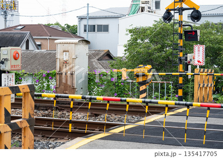 夏の朝顔が咲く日本の踏切風景（アニメのワンシーンのようなノスタルジックな日常・交通安全イメージ） 135417705