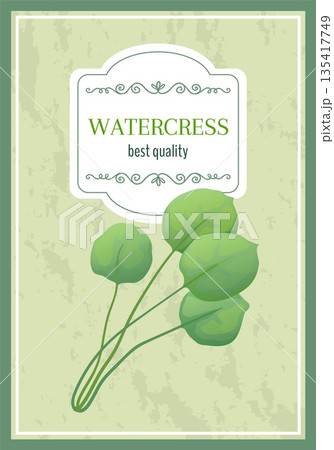 Herbal leaves icon. Green watercress. Organic herb. Greengrocery label. Food natural product. Salad fresh plant bunch. Premium quality. Vegetarian ingredient. Vector marketing banner design 135417749