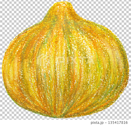 洋蔥插圖油畫棒畫 135417816