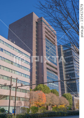 トヨタ自動車東京本社ビルと周辺のオフィス街【東京都文京区後楽】 トヨタ自動車東京本社ビルと周辺のオフィス街【東京都文京区後楽】 135417879