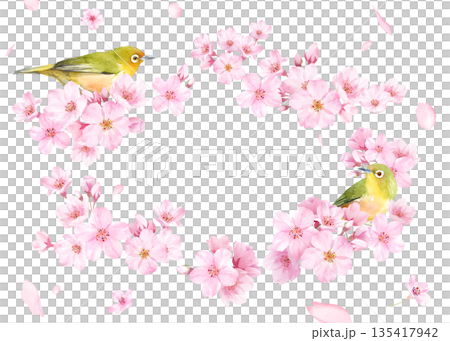 A gentle oval frame designed with watercolor illustrations of cherry blossoms and a small bird (white-eye). Petals on the background. Transparent background. 135417942