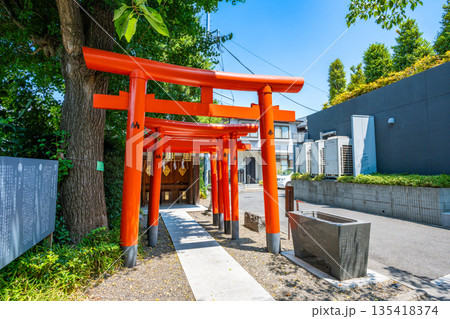 赤城神社の境内社 赤城出世稲荷神社の連なる朱色の鳥居 135418374