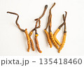 Cordyceps or Ophiocordyceps sinensis mushroom herb is fungus for used as medicine on white background. 135418460