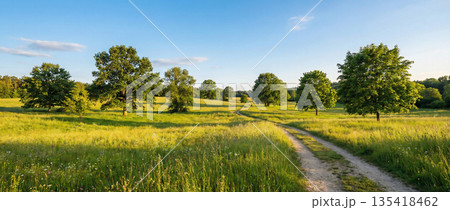 Rural dirt road winding through a green meadow with trees on a sunny summer day. Rural dirt road winding through a green meadow with trees on a sunny summer day. 135418462