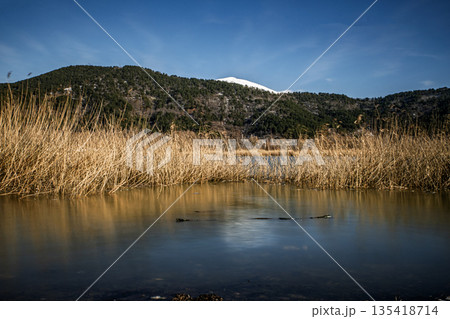Natural Lake and Reeds Landscape in Golcuk, Odemis, Izmir, Turkey Natural Lake and Reeds Landscape in Golcuk, Odemis, Izmir, Turkey 135418714
