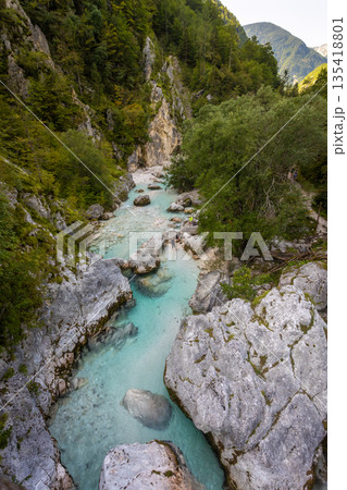 Turquoise Soca Isonzo River flowing through a rocky alpine gorge with clear water, boulders and green forest in Slovenia near Bovec 135418801