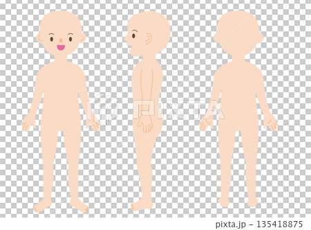 whole body human body 135418875