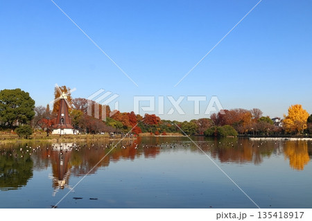 秋の都立浮間公園:浮間ヶ池と風車(東京都北区/板橋区) 秋の都立浮間公園:浮間ヶ池と風車(東京都北区/板橋区) 135418917