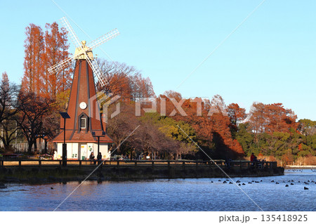 秋の都立浮間公園：浮間ヶ池と風車（東京都北区／板橋区） 135418925