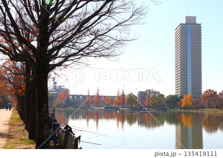 秋の都立浮間公園：浮間ヶ池（東京都北区／板橋区） 135419111