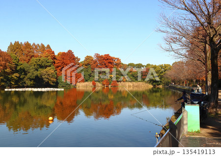 秋の都立浮間公園:浮間ヶ池(東京都北区/板橋区) 秋の都立浮間公園:浮間ヶ池(東京都北区/板橋区) 135419113