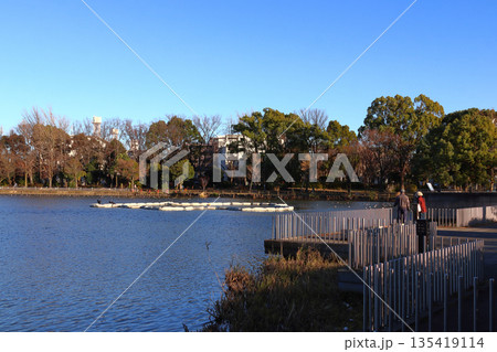 秋の都立浮間公園:浮間ヶ池(東京都北区/板橋区) 秋の都立浮間公園:浮間ヶ池(東京都北区/板橋区) 135419114