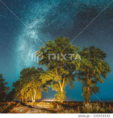 Milky Way Galaxy In Night Starry Sky Above Tree In Summer Forest. Glowing Stars Above Landscape. Panorama 135419142