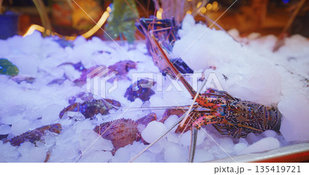 Lobsters and seafood displayed on ice in vibrant setting Lobsters and seafood displayed on ice in vibrant setting 135419721