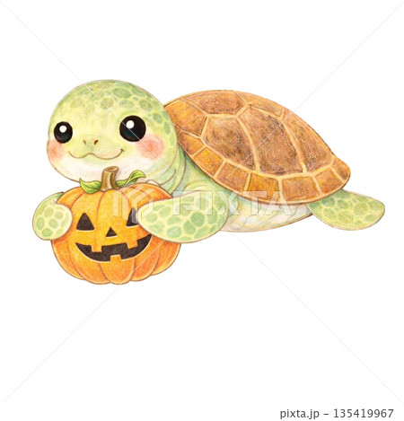 【ハロウィン】色鉛筆風のジャック・オー・ランタンを抱くウミガメのイラスト 135419967