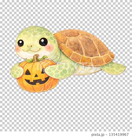 【萬聖節】色鉛筆插畫,一隻海龜拿著一個南瓜燈 【萬聖節】色鉛筆插畫,一隻海龜拿著一個南瓜燈 135419967