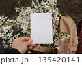 Blank Greeting Card Mockup Held by Female Hand with White Plum Spring Blossoms and Kraft Paper. Natural Blurred Floral Background for Birthday Invitation, Wedding, Branding, Stationery. Minimal Design 135420141