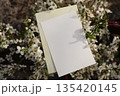 Blank A6 wedding portrait greeting card, invitation mockup in sunlight. Blurred white plum, cherry blossoms background. Spring stationery still life. Gentle shadows across floral scene. Top view 135420145