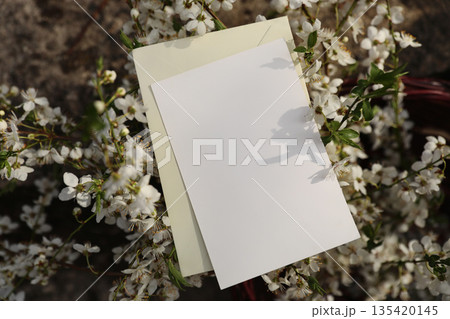 Blank A6 wedding portrait greeting card, invitation mockup in sunlight. Blurred white plum, cherry blossoms background. Spring stationery still life. Gentle shadows across floral scene. Top view Blank A6 wedding portrait greeting card, invitation mockup in sunlight. Blurred white plum, cherry blossoms background. Spring stationery still life. Gentle shadows across floral scene. Top view 135420145