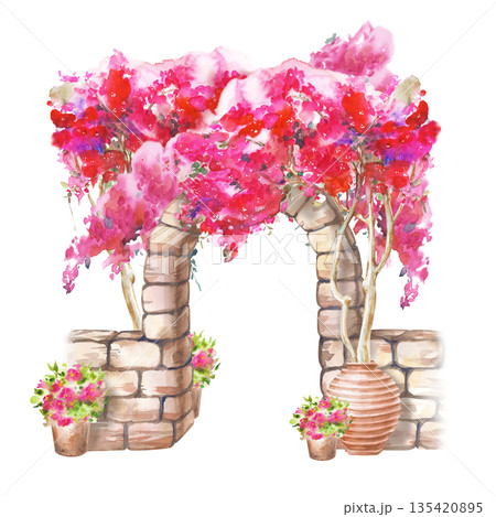 Watercolor composition with a stone brown arch, a bush of lush pink bougainvillea and ceramic pots. Illustration on an isolated background. Realistic clipart with traditional Mediterranean 135420895