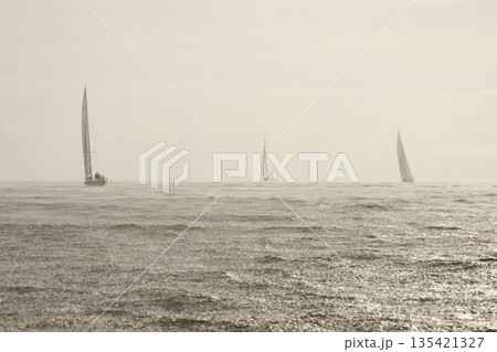 Sailing regatta in the Gulf of Finland in heavily rain, few sailing yachts competing in a race, splashing water from under the boats, teamwork, board the boat Sailing regatta in the Gulf of Finland in heavily rain, few sailing yachts competing in a race, splashing water from under the boats, teamwork, board the boat 135421327