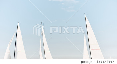 multiple sails at the sailing regatta in the Gulf of Finland, hot race of several yachts, nobody multiple sails at the sailing regatta in the Gulf of Finland, hot race of several yachts, nobody 135421447