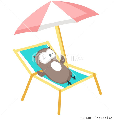 Owl rest on beach vector, vacation relax icon 135423152