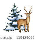 Watercolor illustration of deer and christmas tree in winter forest. Snowy landscape for holiday greeting cards. Christmas and winter illustration with Reindeer for decor and design 135425099