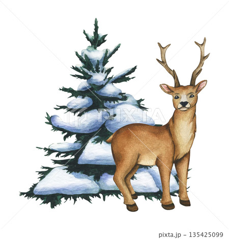 Watercolor illustration of deer and christmas tree in winter forest. Snowy landscape for holiday greeting cards. Christmas and winter illustration with Reindeer for decor and design 135425099