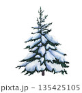 Spruce tree in the snow. Watercolor illustration of Fir tree covered snow on white background. Isolated of Christmas tree covered in snow. Tree of Snowy forest for design, invitation or postcard 135425105