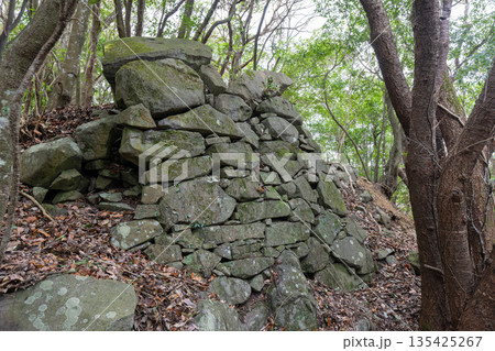佐野鞍懸城跡 佐野鞍懸城跡 135425267
