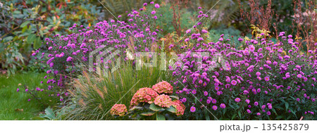 Spring, nature and environment with flowers in garden for blossom, landscape and sustainability. Gardening, peace and growth with plants in forest meadow for ecology, floral and ecosystem Spring, nature and environment with flowers in garden for blossom, landscape and sustainability. Gardening, peace and growth with plants in forest meadow for ecology, floral and ecosystem 135425879